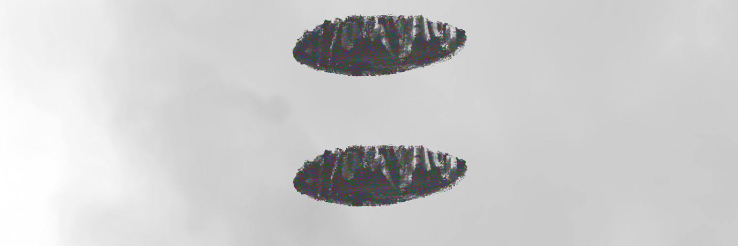 validZH's profile banner image