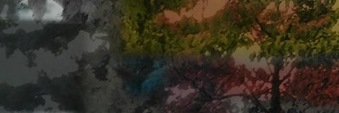 elainab13's profile banner image