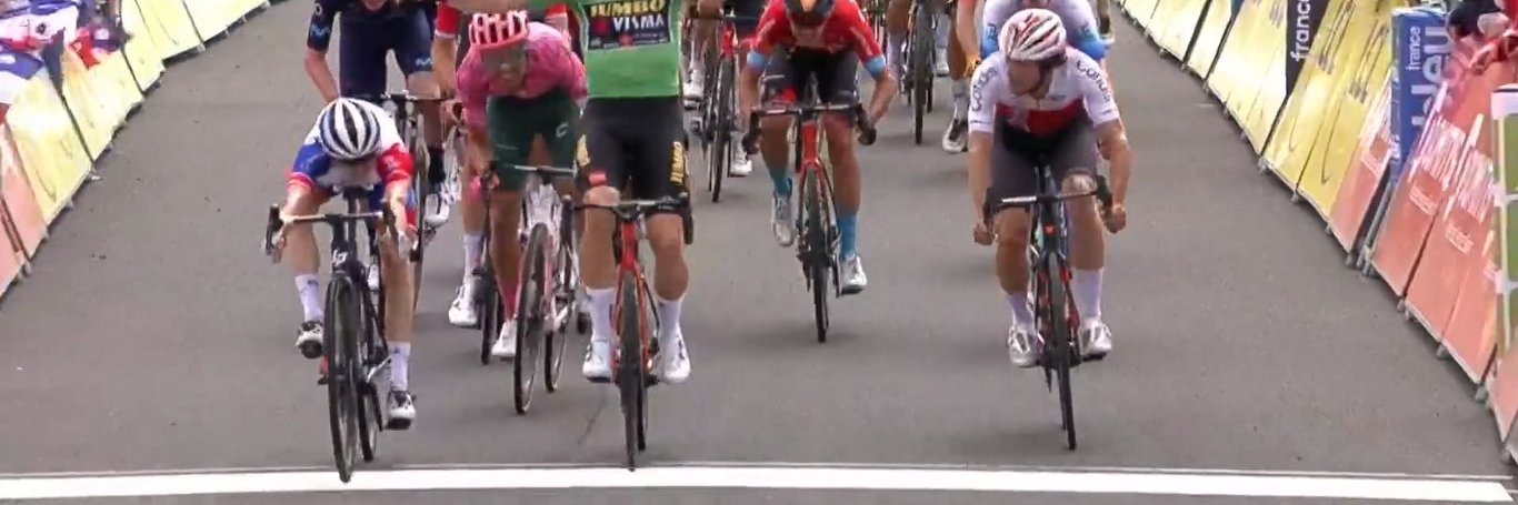 Sapikoote ❄️🐱🐶🐔🐮 banner