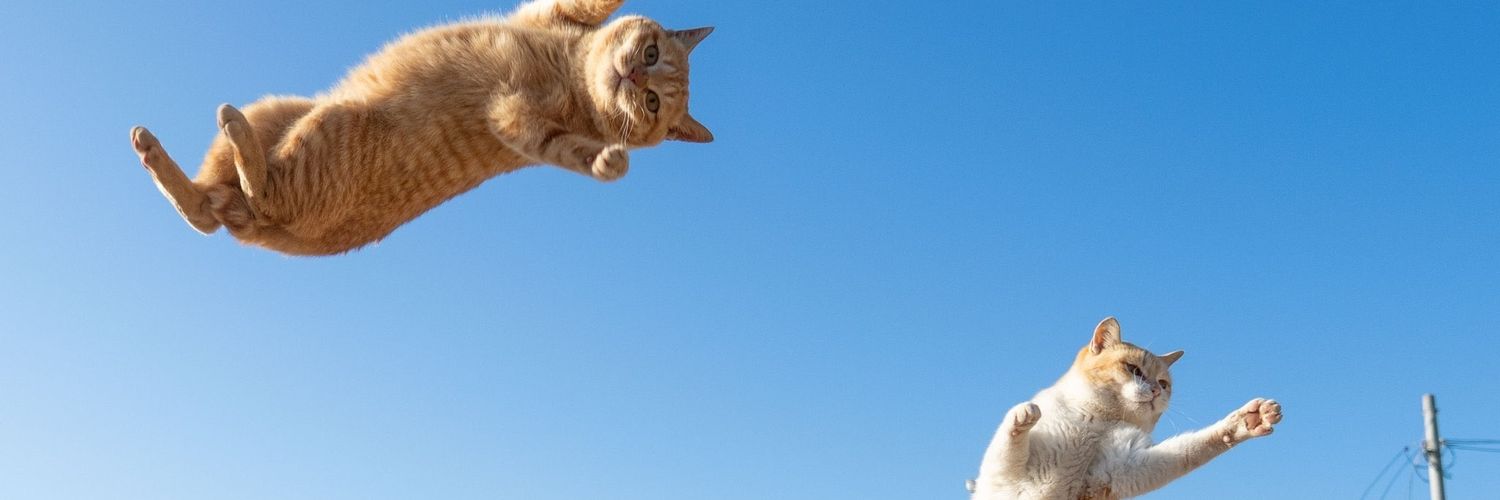 amazoniistt's profile banner image