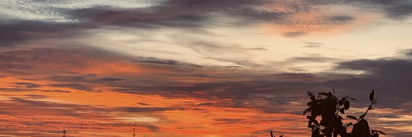 m1randa_____'s profile banner image