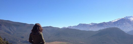 Danie banner