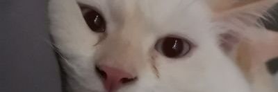 exploitdotexe's profile banner image
