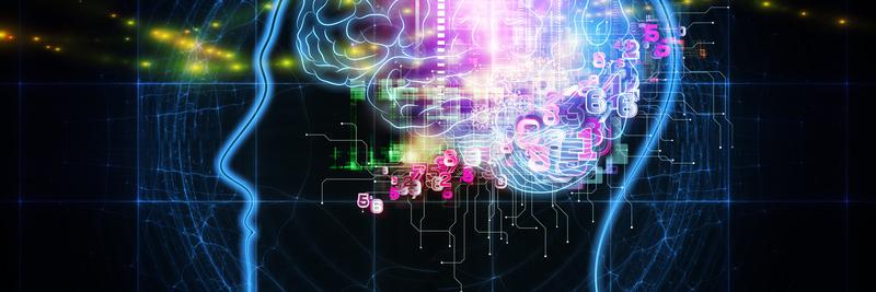 Hannah Critchlow banner