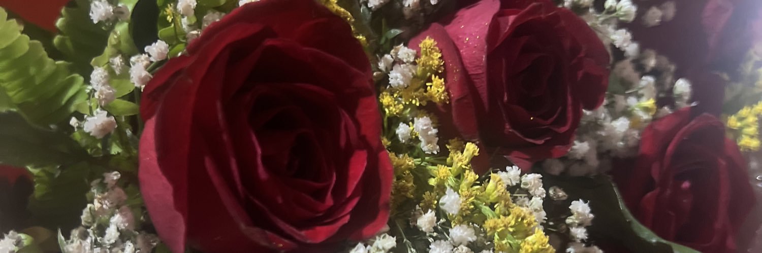 _stefanie2's profile banner image
