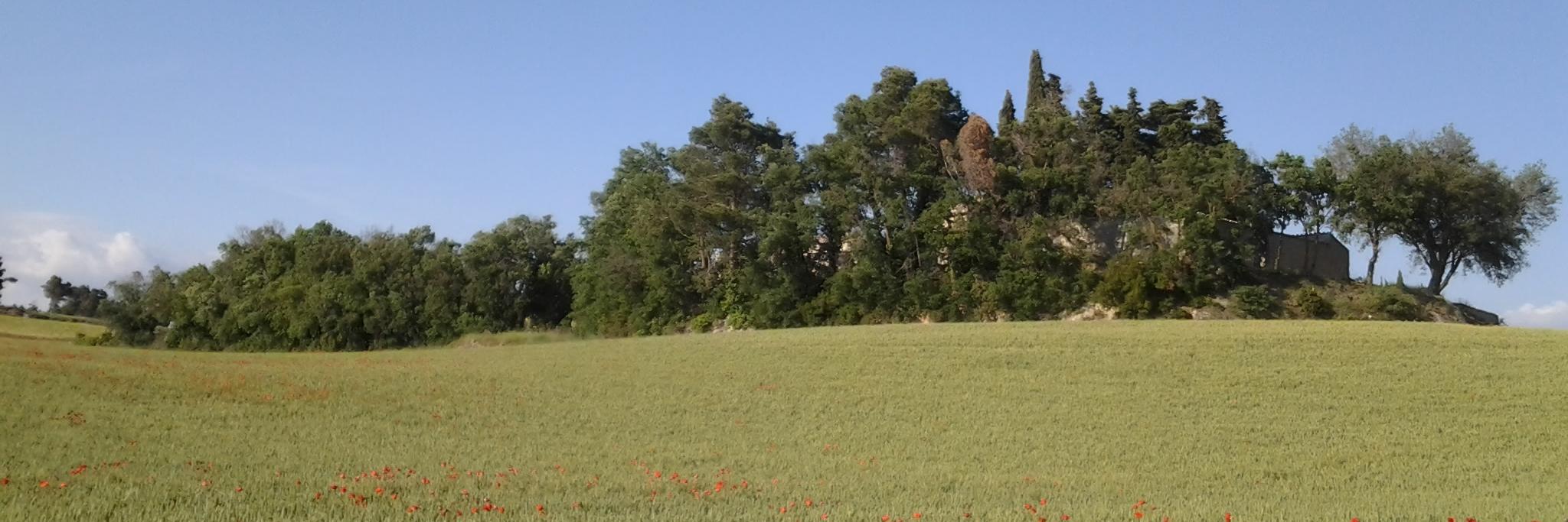 AlbertCrovetto's profile banner image