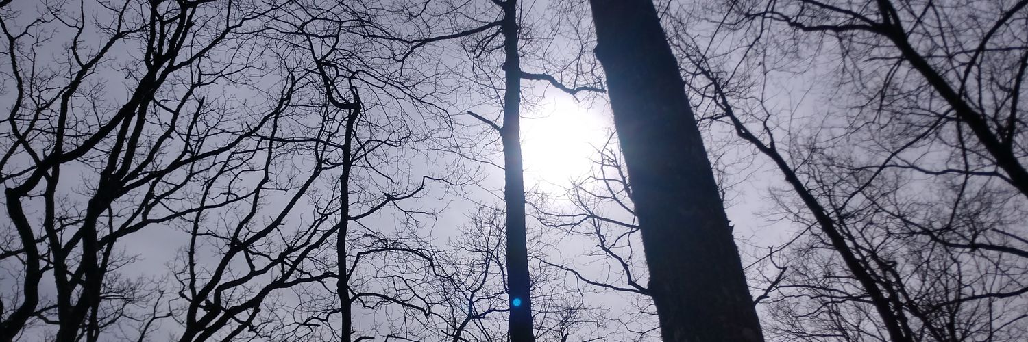 TheJakeCollier's profile banner image
