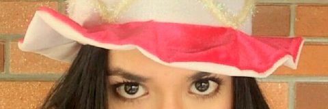 Praditya Rikke banner