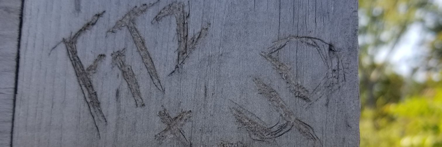 markfitzs's profile banner image
