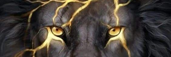 gaffney_robyn's profile banner image