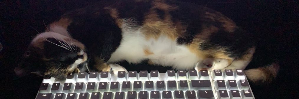 pparkyy's profile banner image