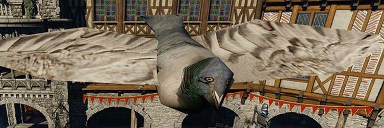 snibter's profile banner image