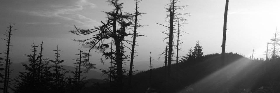 heathermichael_'s profile banner image