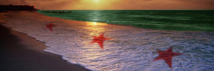 Amar_Homssi's profile banner image