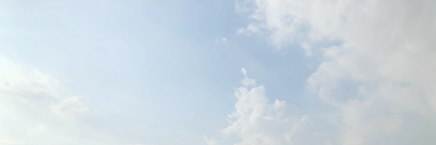 niranfastsleep's profile banner image