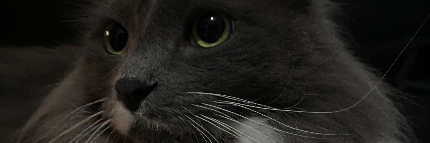 geovanang's profile banner image