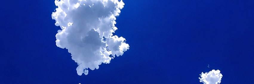 seedsmeta's profile banner image