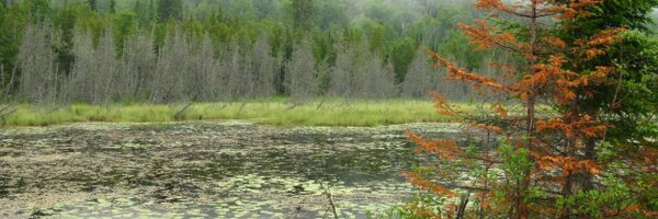 PatSoranno Profile Banner