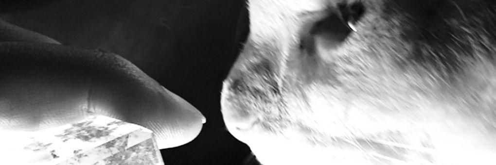 TheTantalusDM's profile banner image