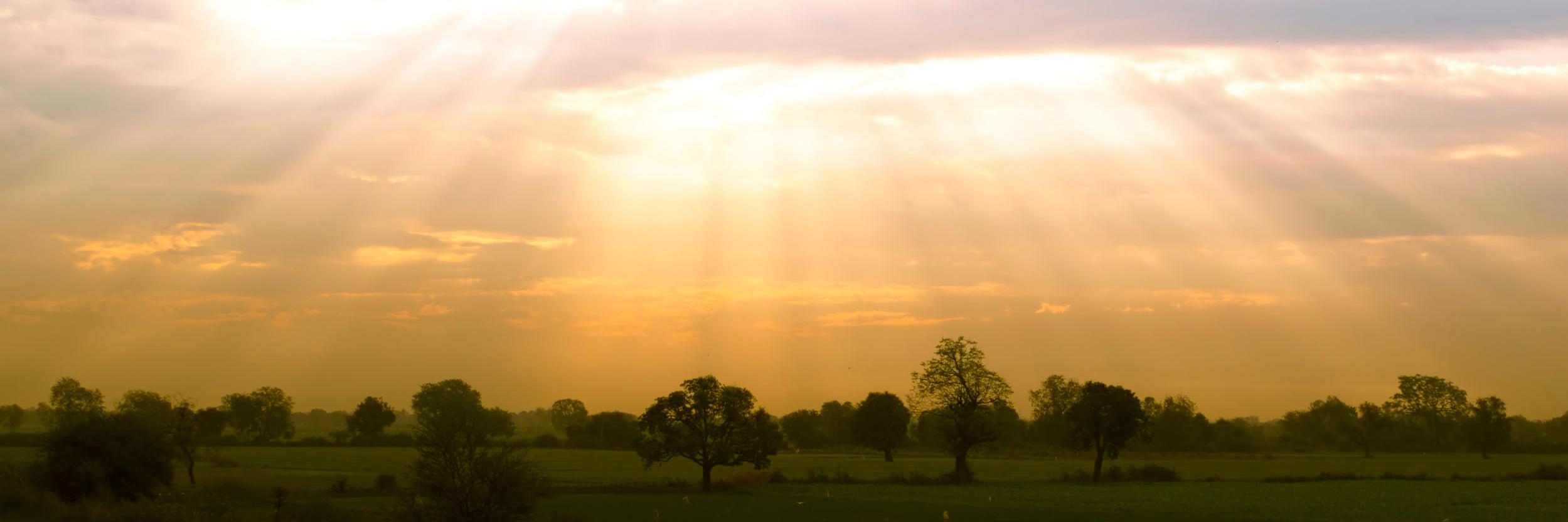 candidsavan's profile banner image