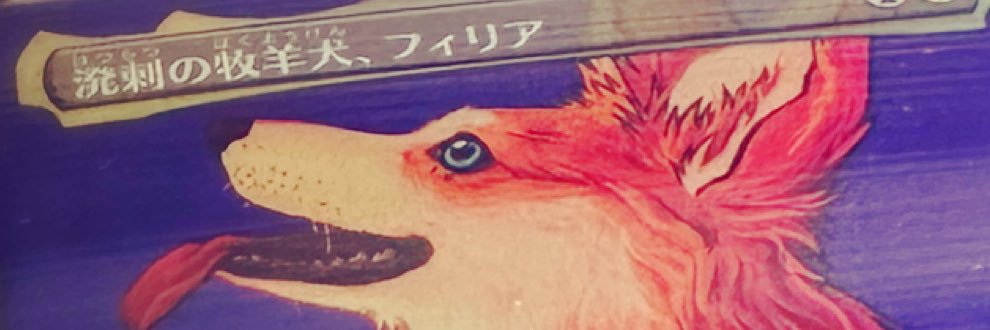 Rindao_np's profile banner image