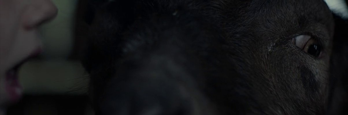 XavierCubides's profile banner image