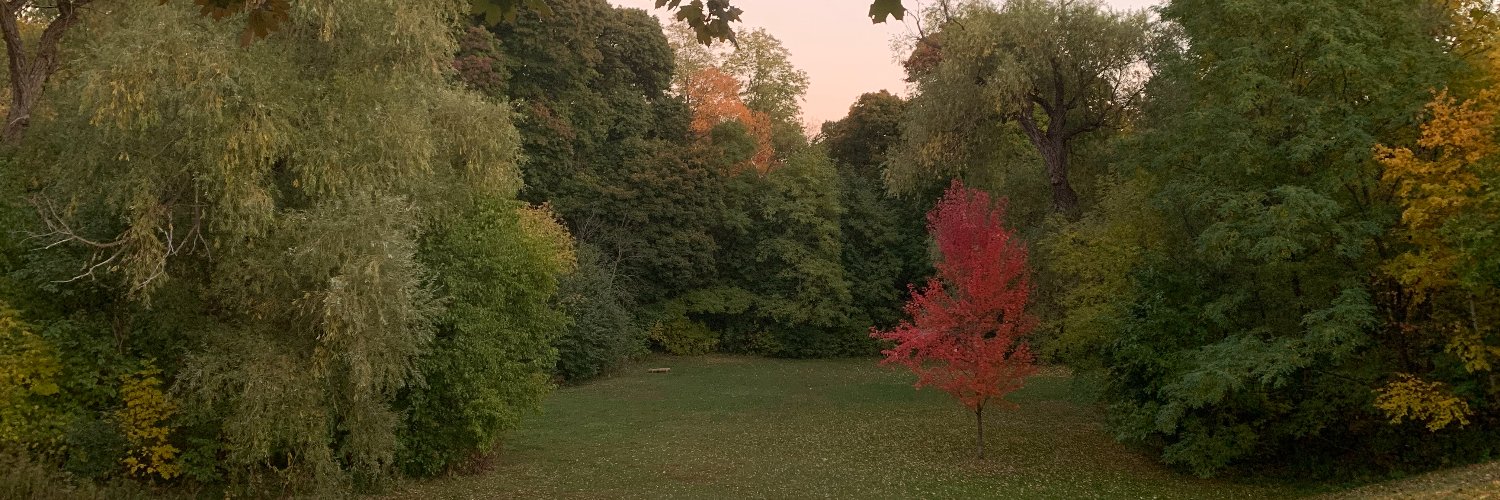 AndrewSavetchuk's profile banner image