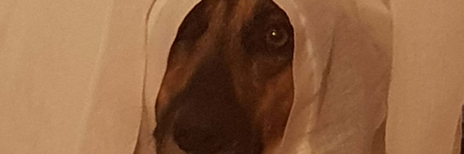 Huevito44's profile banner image
