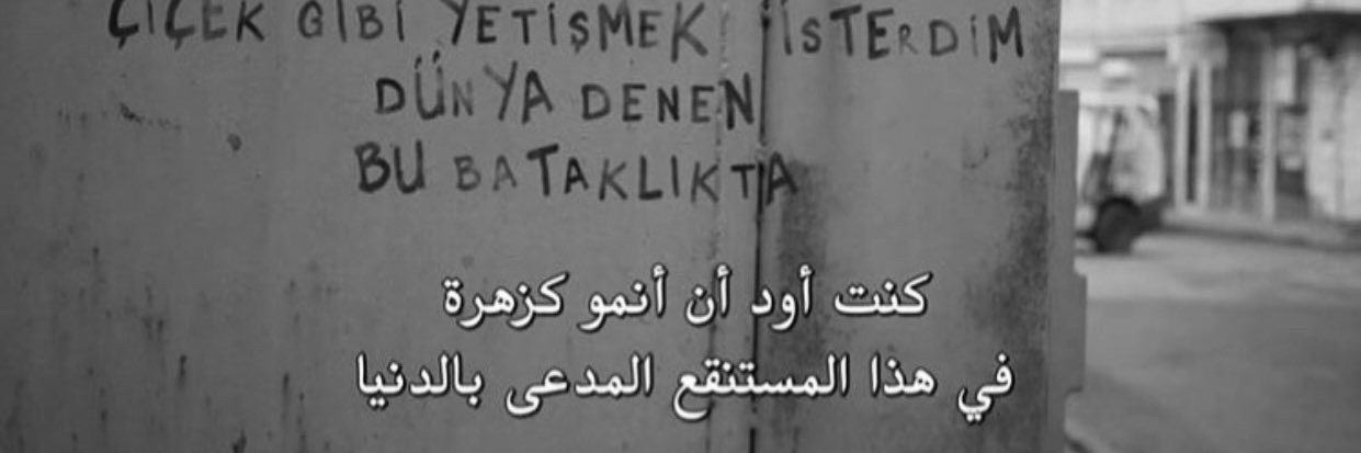 fase5ana's profile banner image
