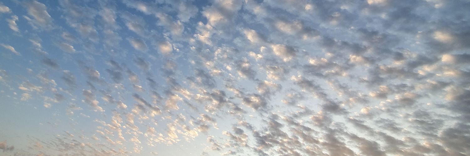 XdAileen's profile banner image