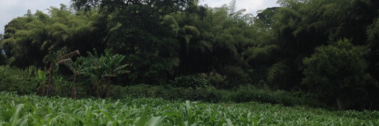 donnahdz's profile banner image