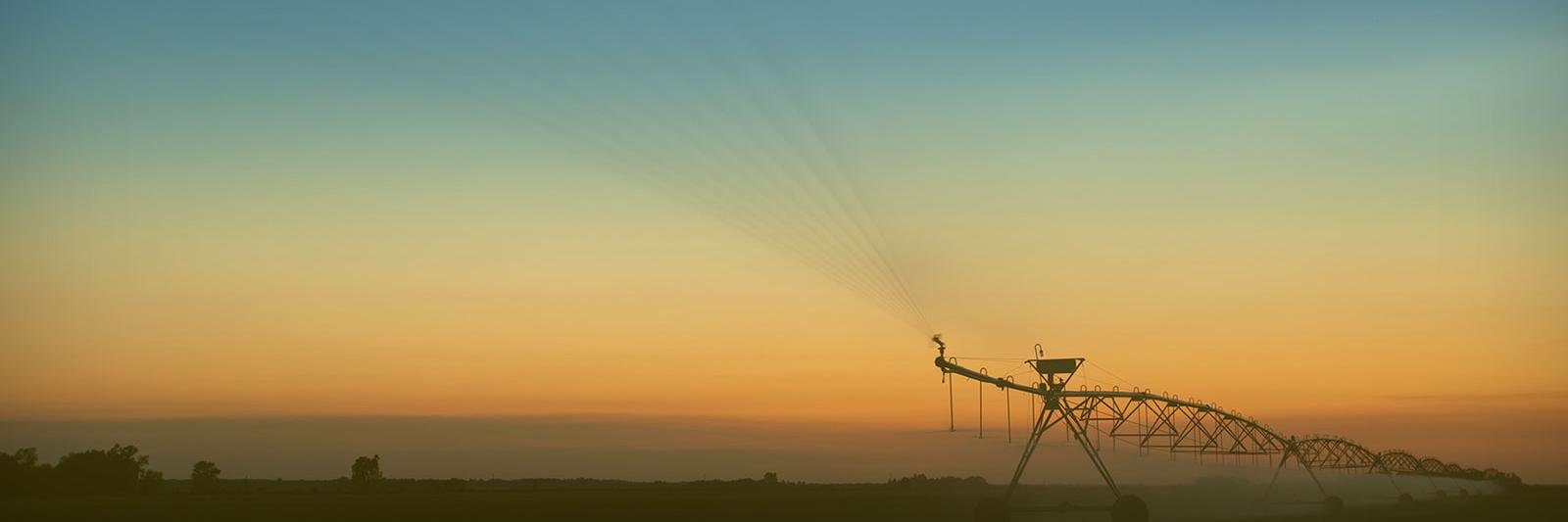 Senator Ben Sasse banner