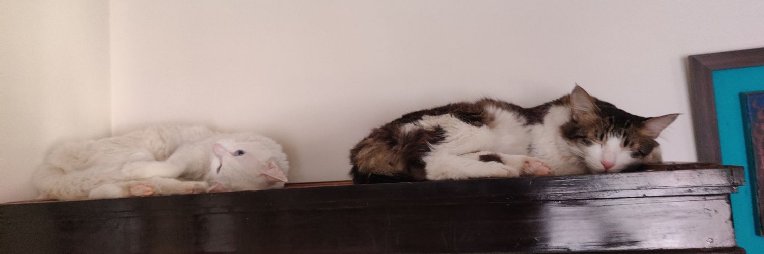 Does it even matter? banner