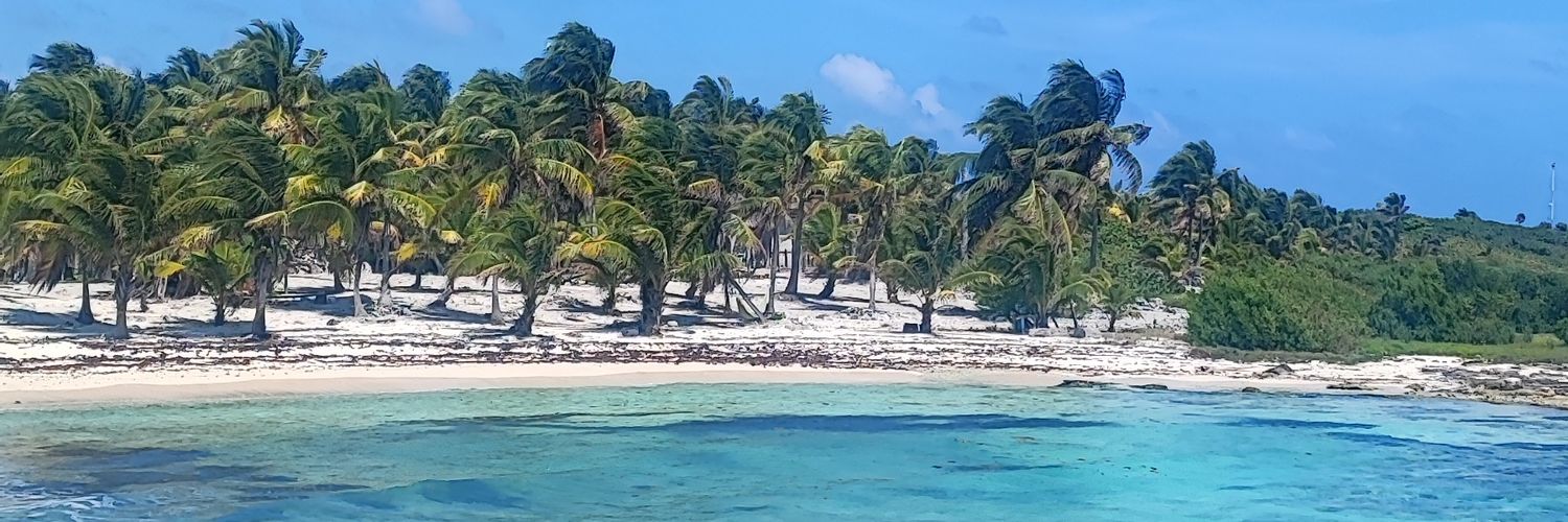 Jéssica Menéndez banner