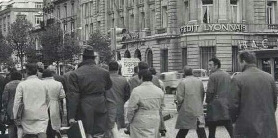 cgtlcl's profile banner image