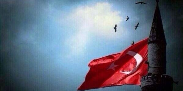 Yesiltar's profile banner image