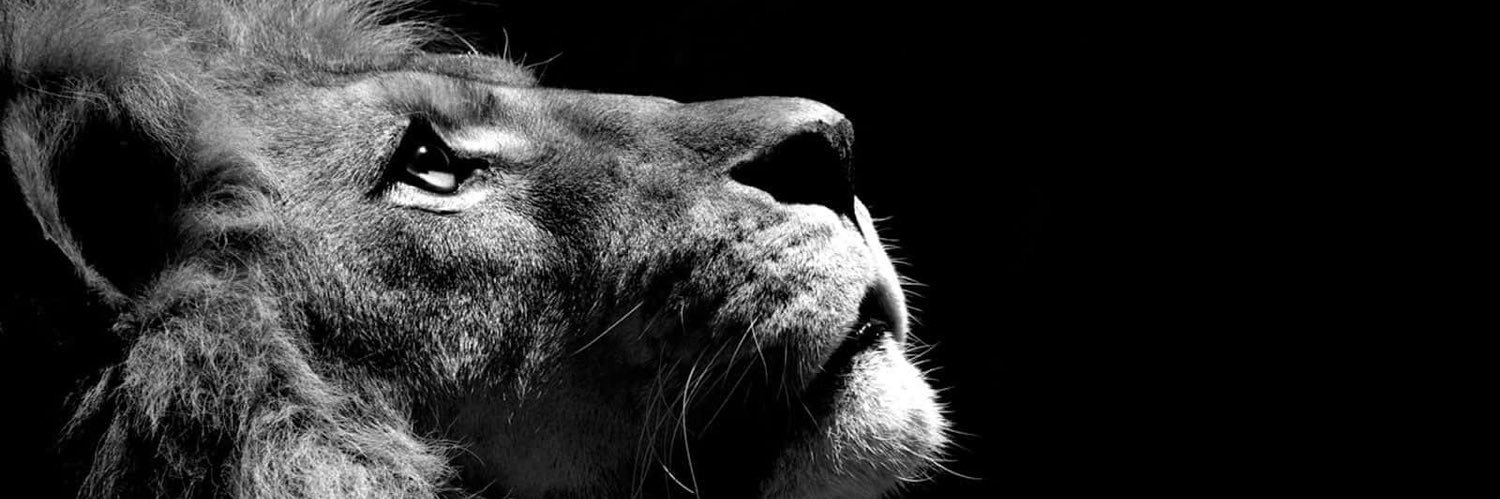 _bxrtt's profile banner image