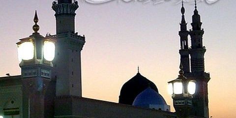nanyalmostafa's profile banner image