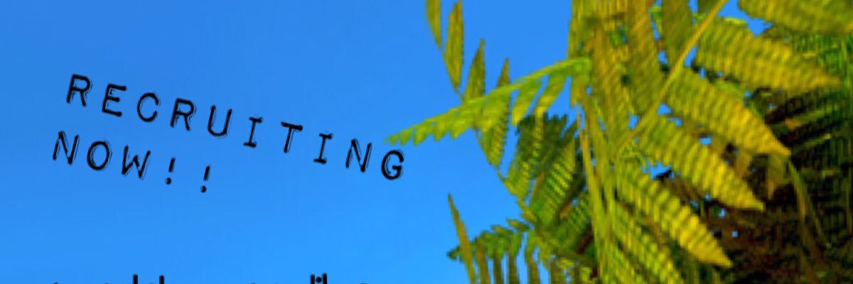 zippy800's profile banner image