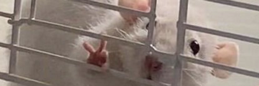 ptta. ㅃ banner
