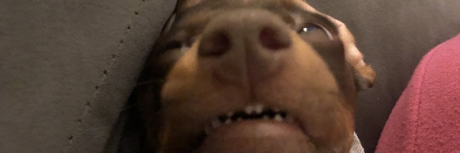 shaycorby's profile banner image