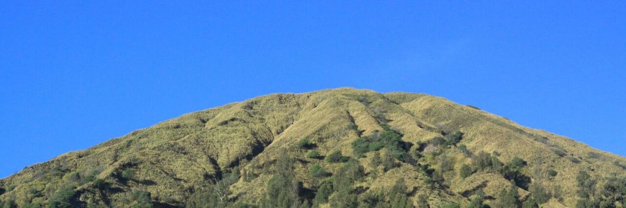 prillaudina's profile banner image