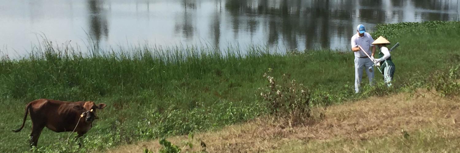 daschapgolf's profile banner image