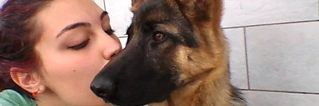 vdipalma99's profile banner image