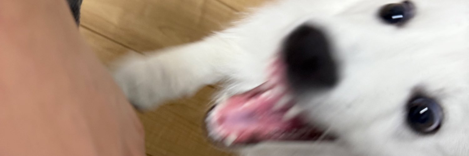 riuch4n's profile banner image