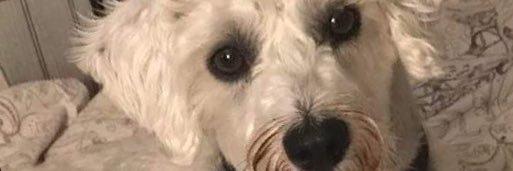 ourmand1712's profile banner image