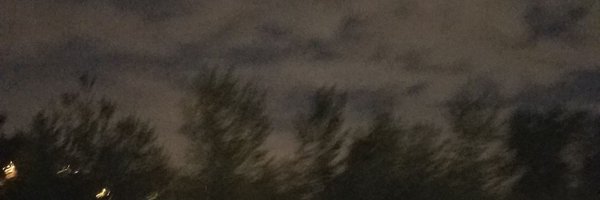 lastliphe Profile Banner