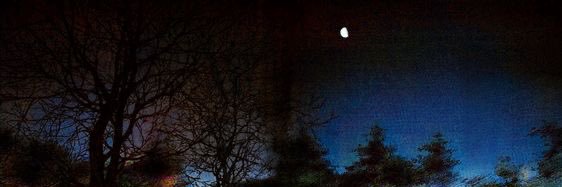 efra banner