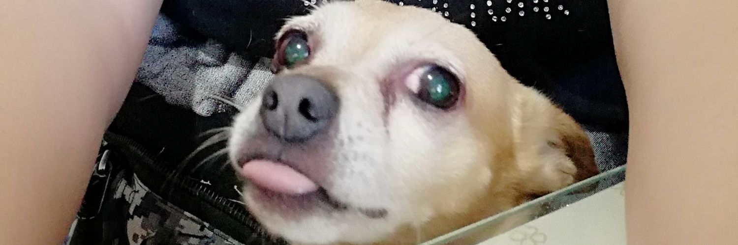 gabymape00's profile banner image