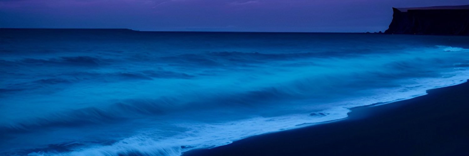 end_47ban's profile banner image